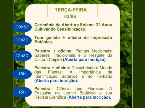Programação 2