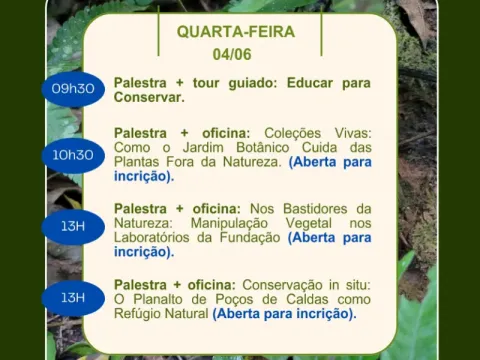 Programação 3