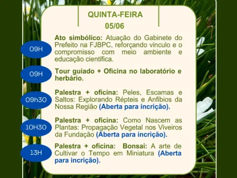 Programação 4