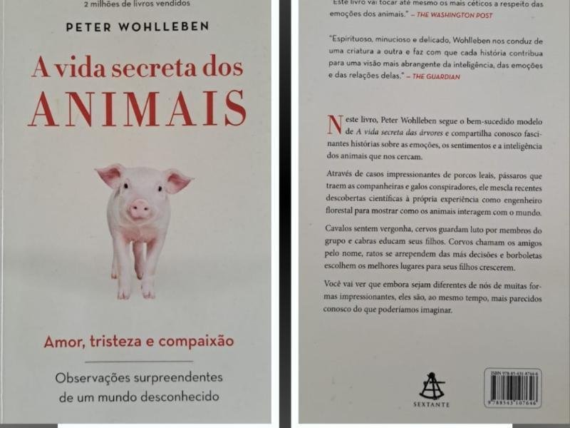 Segunda literária