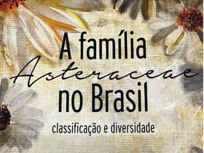 Segunda literária