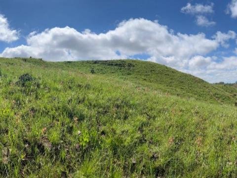 Projeto Biota-FAPESP investiga biodiversidade dos Campos Naturais